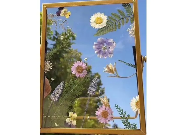 clear glass sheet price